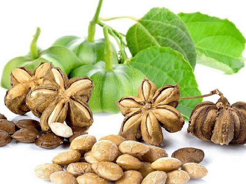 Sacha inchi suplemento natural