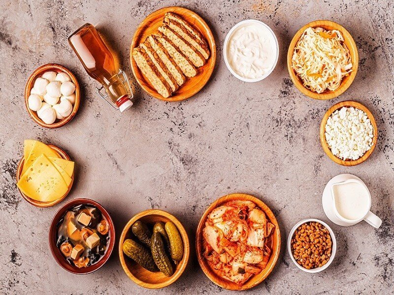 Probioticos naturales y su uso